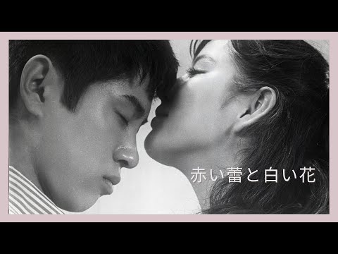 「赤い蕾と白い花」予告編