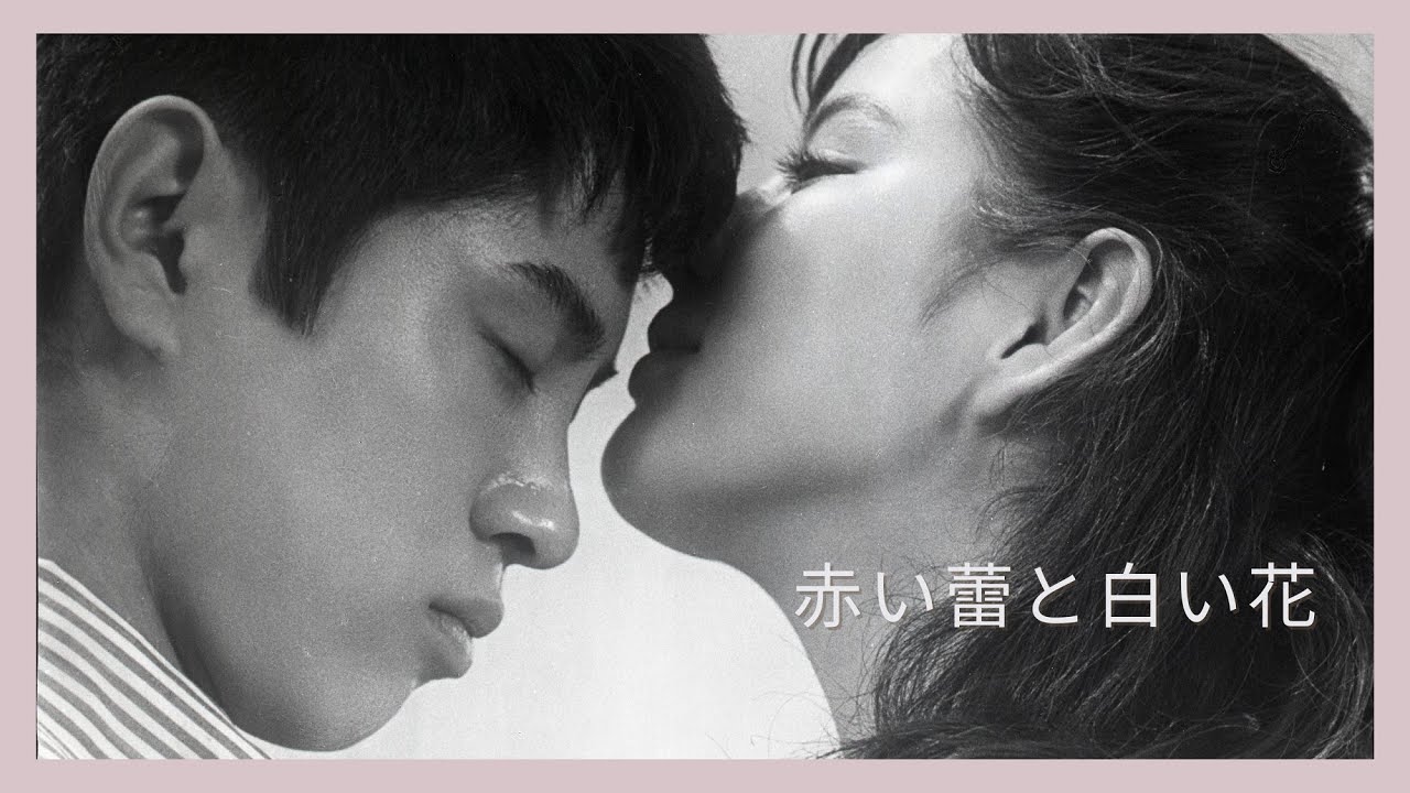 「赤い蕾と白い花」予告編