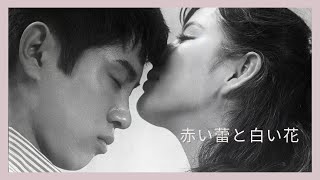 「赤い蕾と白い花」予告編