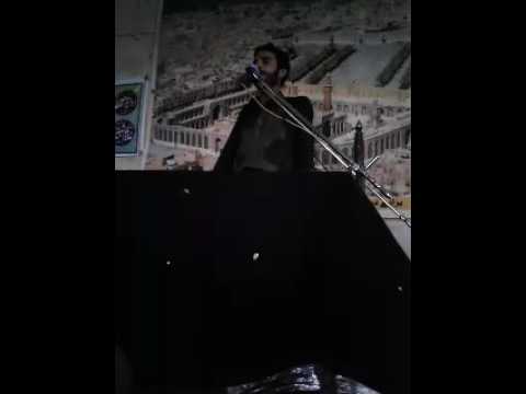 Syed Zulqarnain Haider of Chaniot