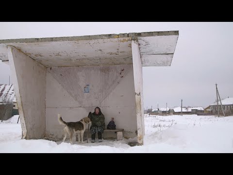 Китайская народная Чувашия | ПРИЗНАКИ ЖИЗНИ