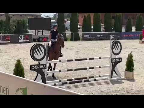 Kaatje (Etoulon vdl x voltaire)