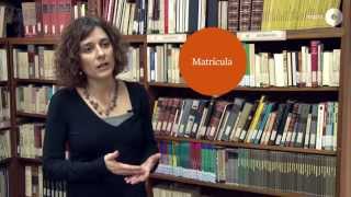 Magnet. Aliances per a l'èxit educatiu