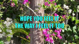 Powderfinger - (Baby I&#39;ve Got You) On My Mind (with Lyrics)