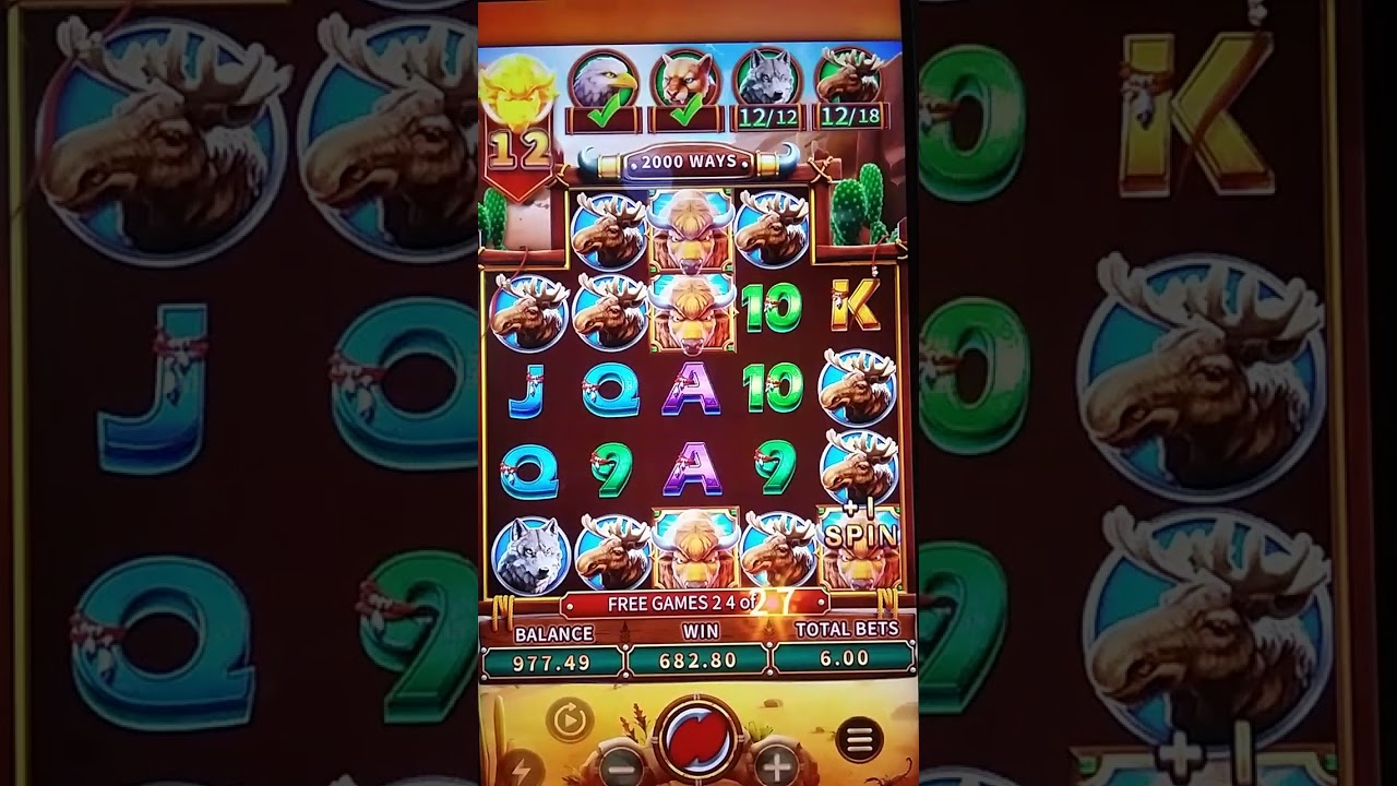 Game #205 Crazy Buffalo FreePlay / Fachai  FC / Royal888