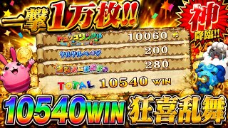 【カラコロッタ】一撃1万枚超え！10540WINで狂喜乱舞した神回ｗｗｗ
