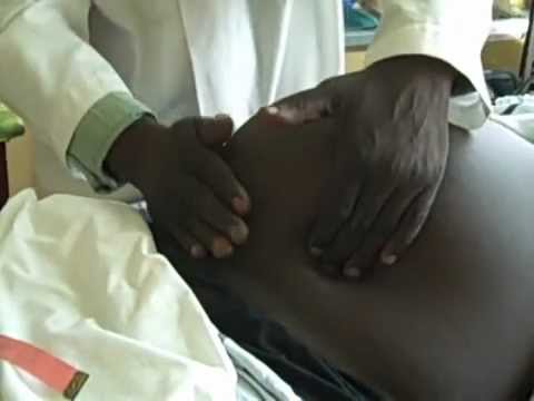 Obstetrics and Gynaecology - Examination of the Pregnant Woman Reporting the Obstetric Abdominal Exa