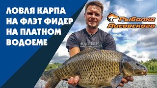 Ролики про рыбалку фидером и карпфишинг