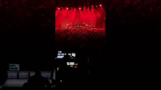 Stick to your guns - married to the noise live