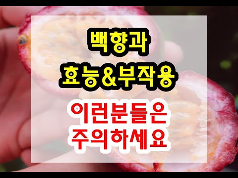 패션 후르츠 백향과 효능과 부작용 잘 알고 드셔야해요~
