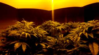 Raising and Lowering pH
