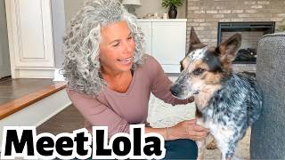 Meet Lola...Our Rescue Dog from Mexico🐾
