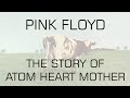 Pink Floyd Atom Heart Mother Documentary Inc Zabriskie Point And Ron Geesin S The Body
