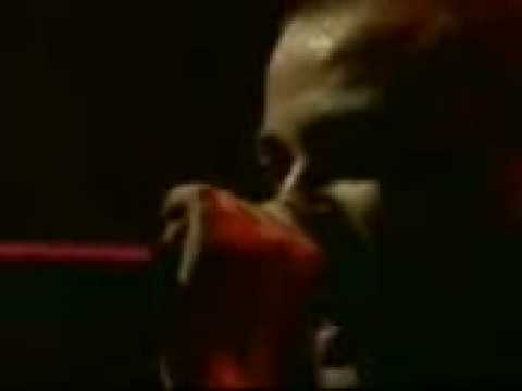 Nach Scratch feat Shuga Wuga Amor libre Live