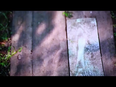 Emma Dax - Szare dni (official video)