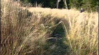 Coldplay - I Ran Away