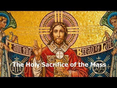 Holy Hour of Reparation for Peace in Our World: Tuesday, October 17, 2023