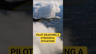 UPS Plane Struck Something After Takeoff