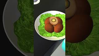 Download lagu Telur Shorts 🥚❤️🥚 Lagu Anak Indonesia mp3 Download lagu Telur Shorts 🥚❤️🥚 Lagu Anak Indonesia mp3