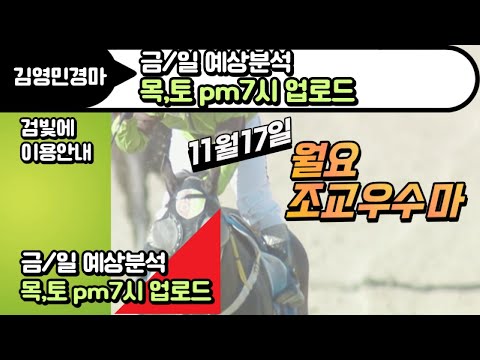 김영민경마 11월17일 부경 월요조교우수마 3두