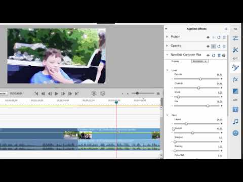 Basic Training for Adobe Premiere Elements 2022, Part 5 of 8