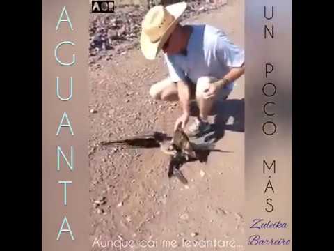 Zuleyka Barreiro -Aguanta un poco mas
