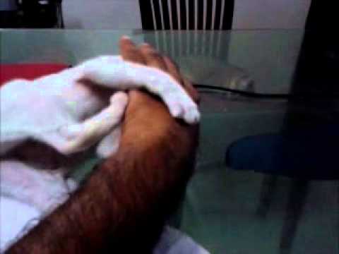 Palm sized kid, giant sized bites!