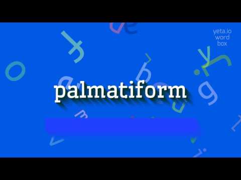 PALMATIFORM - HOW TO PRONOUNCE IT? #palmatiform