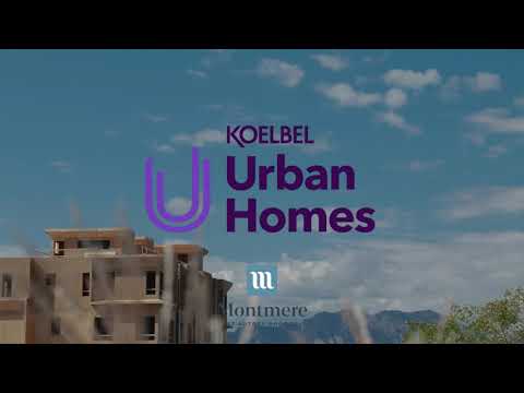 Blue Owl Studio video.