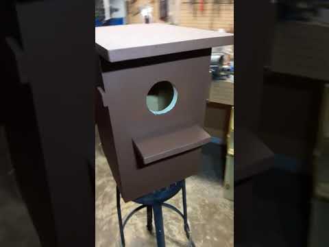 High quality squirrel house.