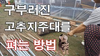 구부러진 고추지주대를 펴는 방법
