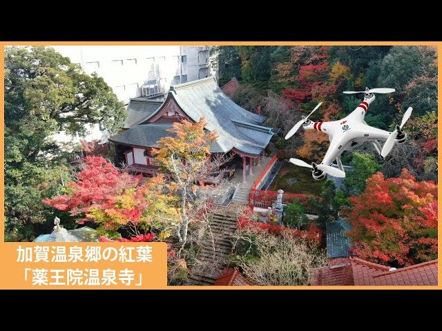 加賀温泉郷の紅葉 山代温泉 「薬王院温泉寺」