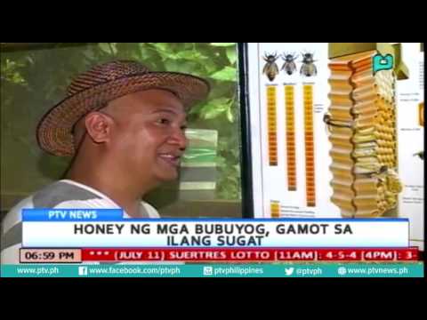 Pamamaga ng kuko ng hinlalaki sa paa ng paggamot Paggamot ng pasalingsing kuko sa Eagle