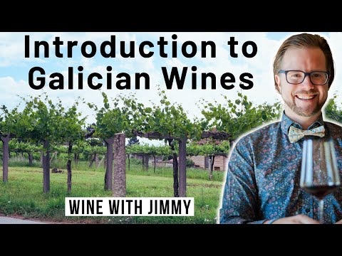 Uncover the Secrets of Galician Wine - Unlock Your WSET Diploma!