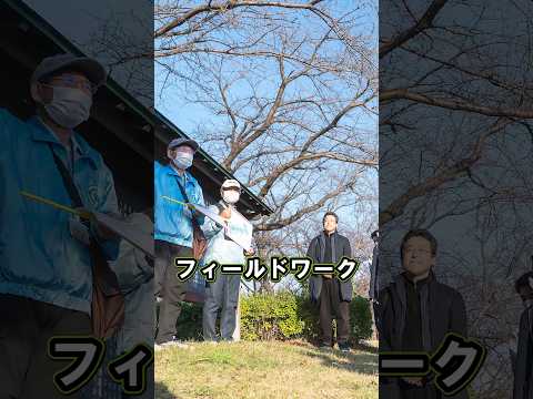 現代社会学科の魅力は？ 佐藤 秀樹 准教授 #江戸川大学