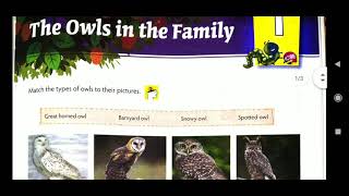 THE OWLS IN THE FAMILY||CLASS 5||ICSE||NEW MULBERRY ENGLISH BOOK||ENGLISH LITERATURE