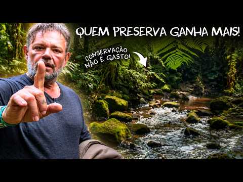 🌳 MUNICÍPIO DE 3 MIL HABITANTES FATURA R$ 14 MILHÕES COM A FLORESTA 😱!