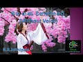 Maha Gana Wananthare Karaoke (without voice) මහ ගණවනන්තරේ