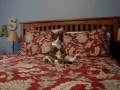 wellesleysitting.wmv