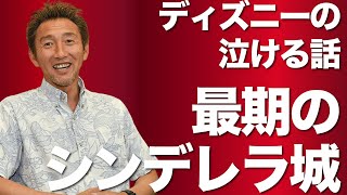 ディズニーでの泣ける話 シンデレラ城ミステリーツアーで余命少ない少年が体験した感動ストーリー ディズニー研修セミナー Com