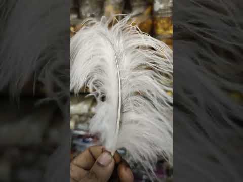 moyur palok | sada palok | Bridal creation | kathgolap| holider gohona | abida's design