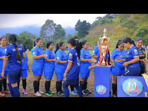 Copa La Amistad Corinto, Cauca