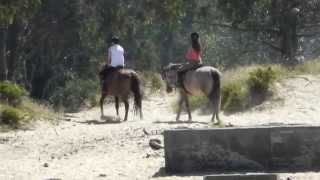 preview picture of video 'montando a caballo en Laredo (EL SABLE)'