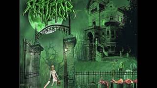 Cadaver Mutilator - When Perversions Began