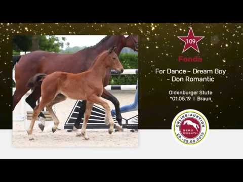 109 Fonda Stutfohlen von For Dance aus der Be Care von Dream Boy x Don Romantic