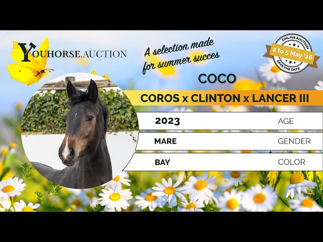 Coco