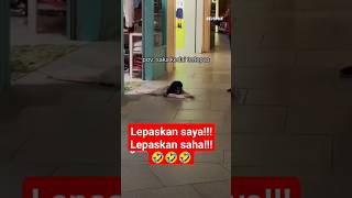 Download lagu sudah ga kuat jadi setan 🤣🤣🤣#shorts #funny mp3