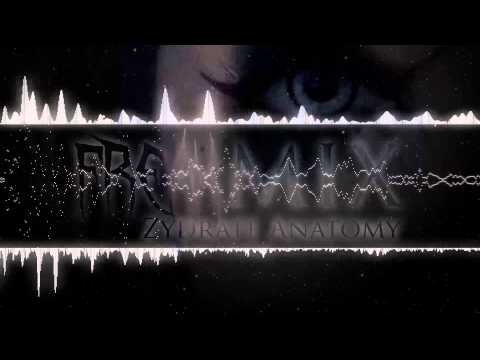 "Zydrate Anatomy" by Repo! The Genetic Opera Necropsyk Remix