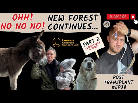 OH NO NO NO! OUR NEW FOREST ADVENTURE CONTINUES...#EP38