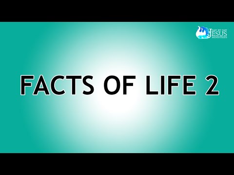 2023-09-20 Facts of Life 2 - Ed Lapiz